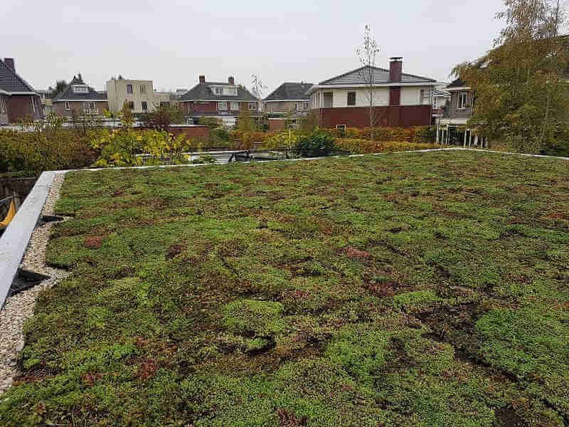 Groen dak huis bouwen